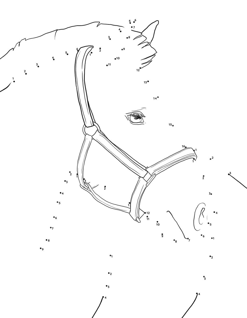 Horse head dot to dot