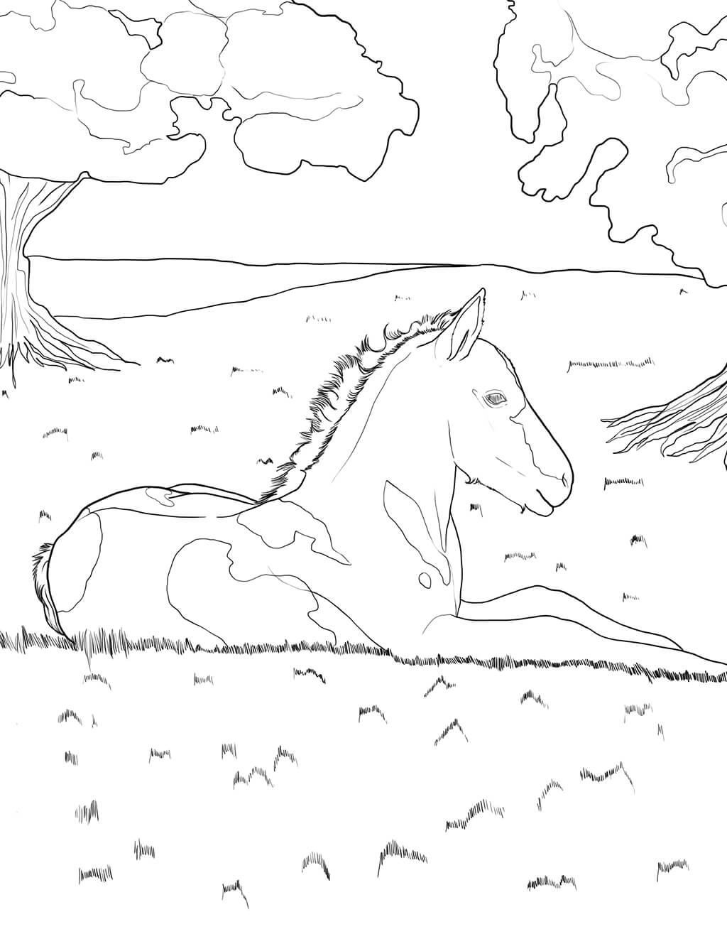 Realistic horse lying down in field coloring page