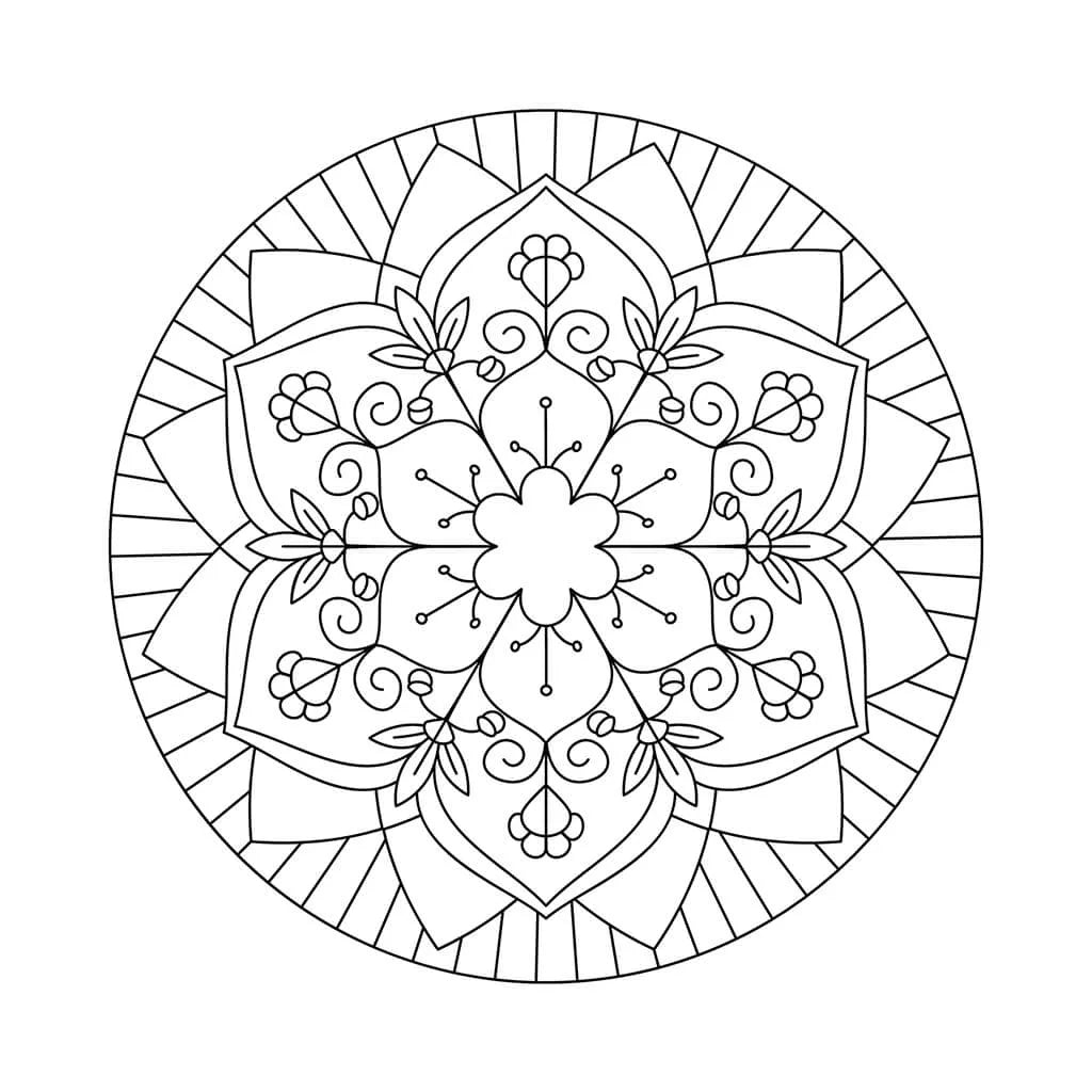 Mandala coloring page with large petals, swirls and berries inside a ring of radiating lines