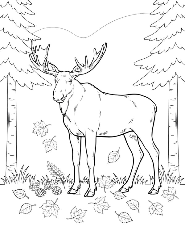 Free printable Free Canadian Moose Coloring Page for Kids coloring page for kids