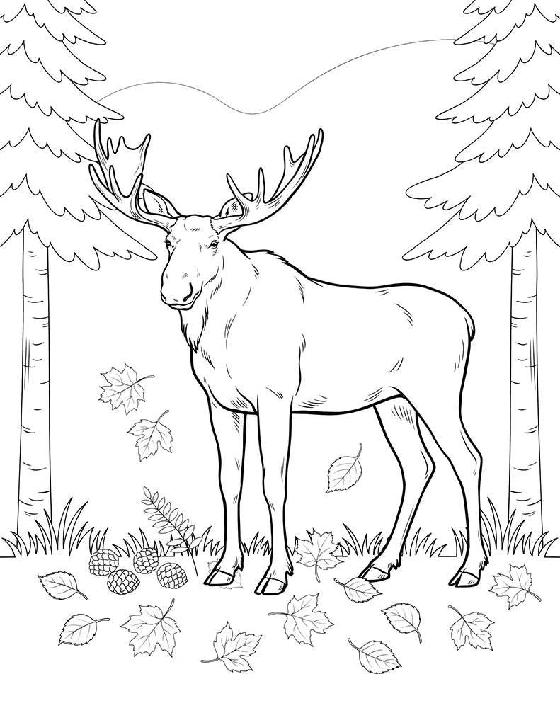 Free Canadian Moose Coloring Page for Kids