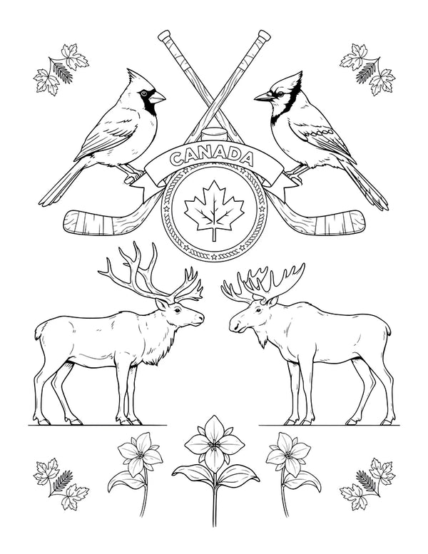 Free printable Free Canadian Wildlife Coloring Page for Kids coloring page for kids