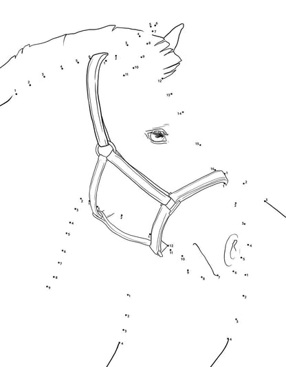 Horse Activity Book for Kids Ages 6-8 (Spiral Edition)