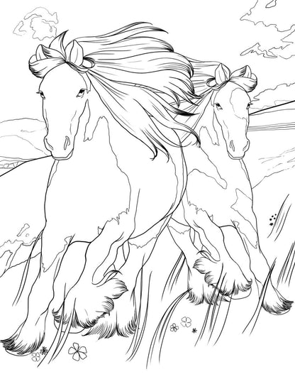 Horse Coloring Book
