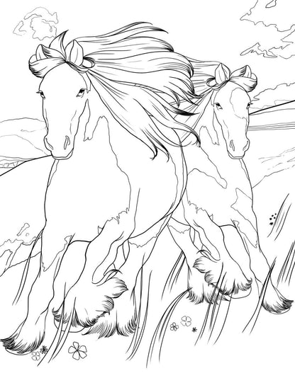 Horse Coloring Book