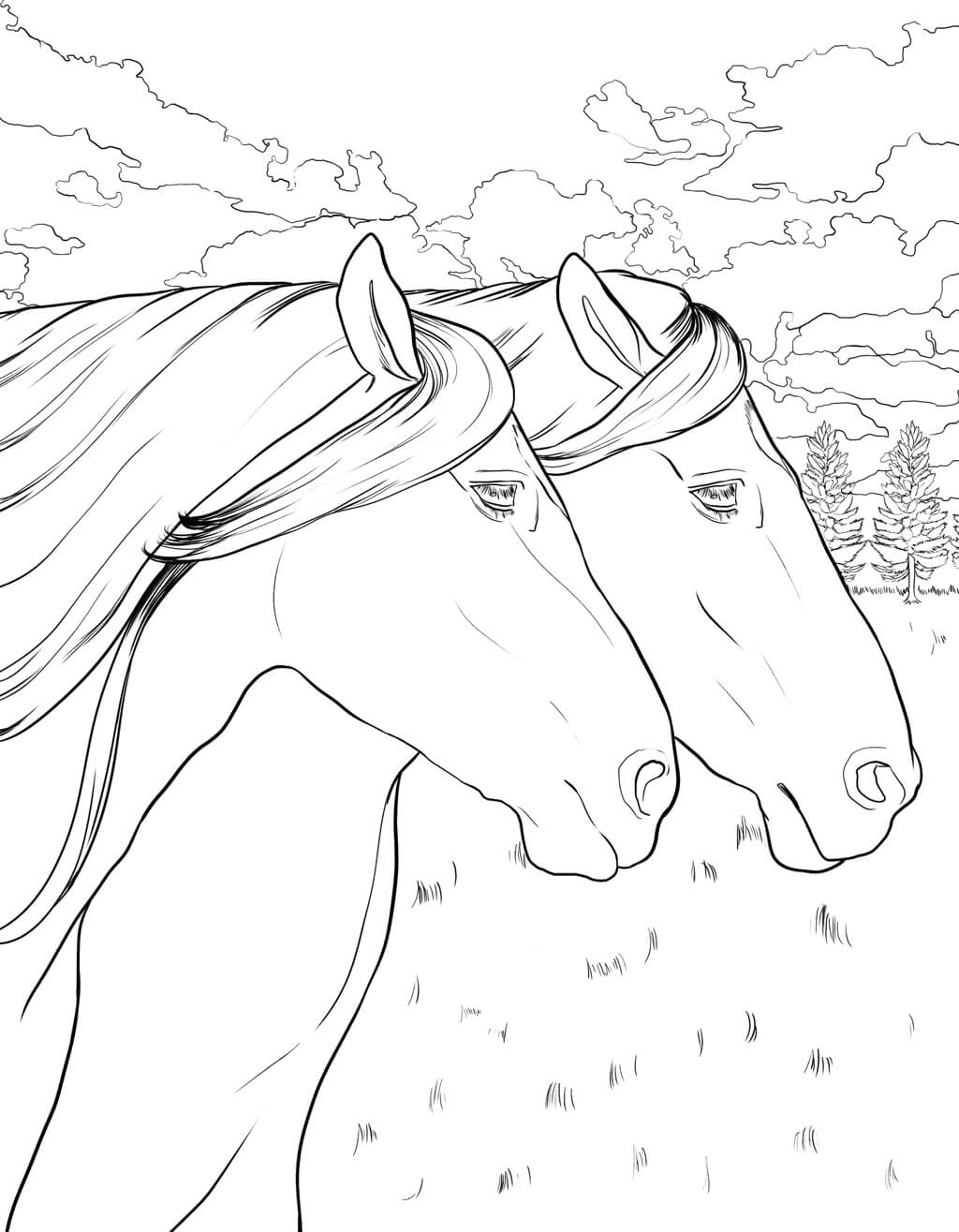 Horse Coloring Book