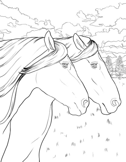 Horse Coloring Book