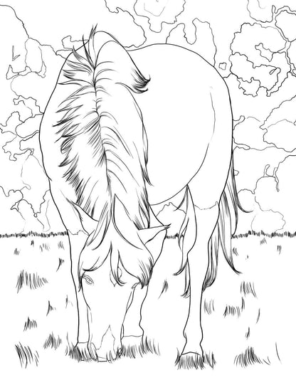 Horse Coloring Book