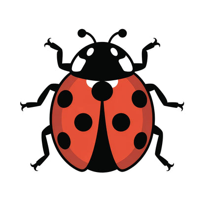 Cartoon ladybug illustration on a white background