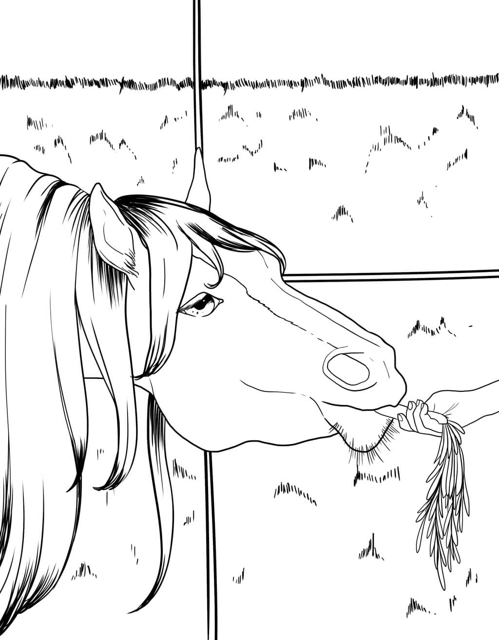 Horse Coloring Book