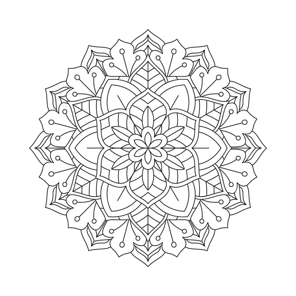 Fine-line mandala coloring page made of pointed leaves and flowers in a radial pattern