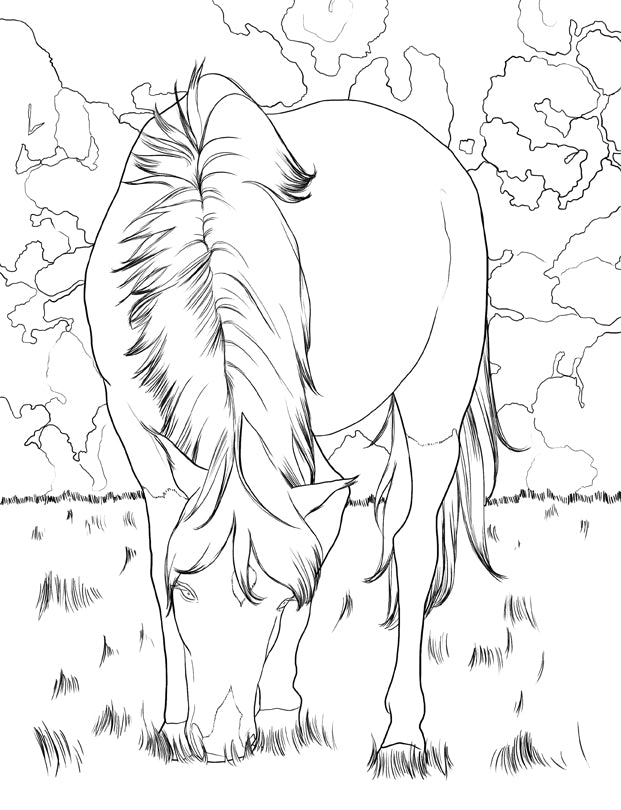 Caballos libro de colorear