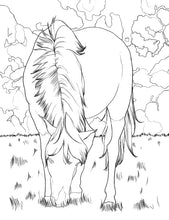 Load image into Gallery viewer, Caballos libro de colorear
