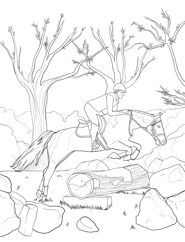 Chevaux livre de coloriage