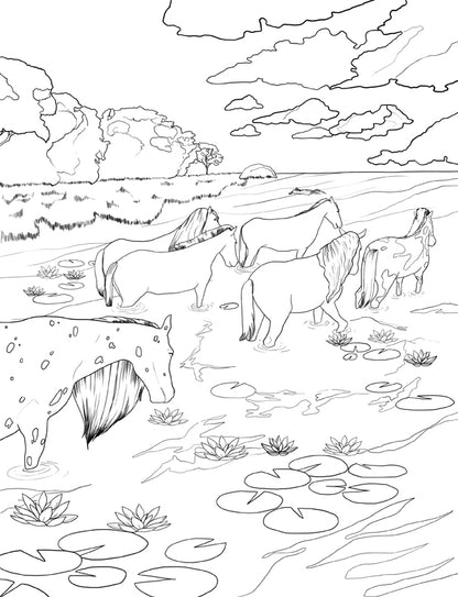 Chevaux livre de coloriage