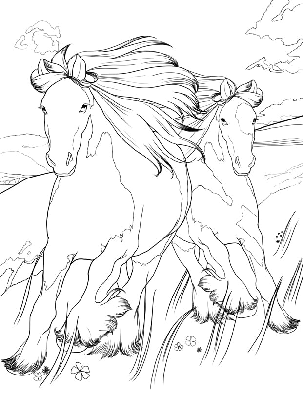 Chevaux livre de coloriage (Couverture à spirales)
