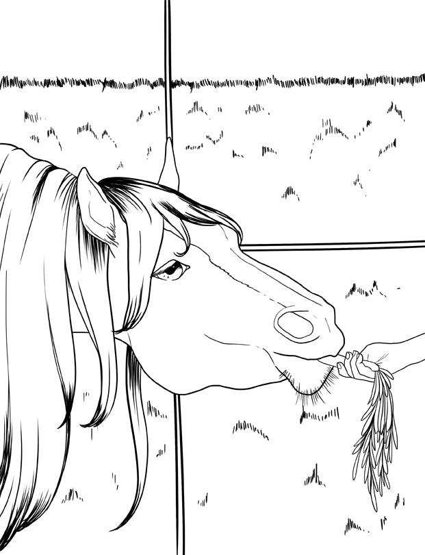 Chevaux livre de coloriage (Couverture à spirales)
