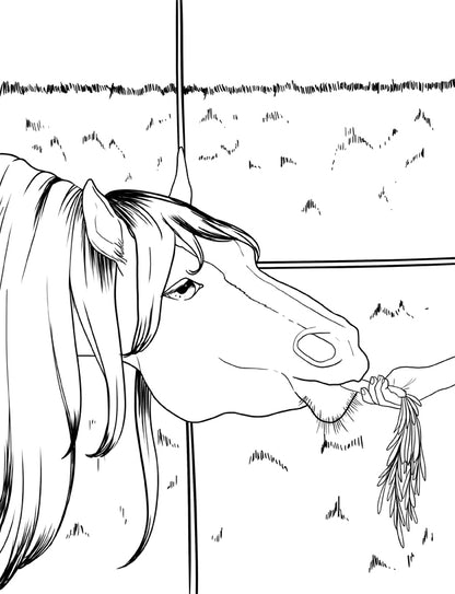 Chevaux livre de coloriage (Couverture à spirales)